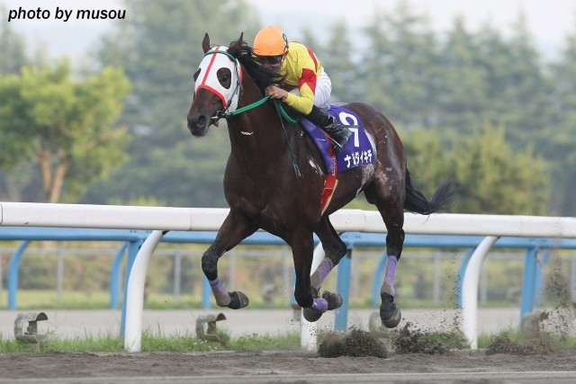 金沢競馬現役最強馬ナムラダイキチが復帰戦の千里浜砂像特別で勝利！